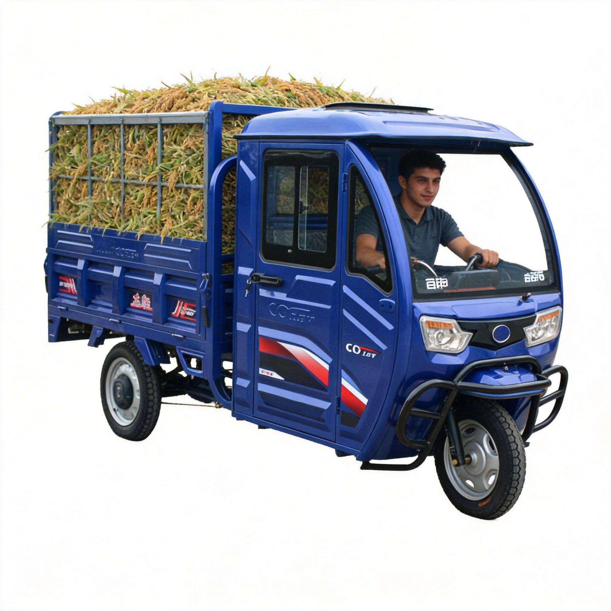 Cargo Vehicle Electric Trike E - Home Improvement Fence recension och pris