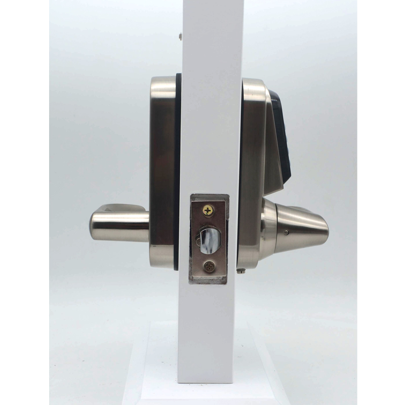 High Quality Zinc Alloy Handle - Door Lock recension och pris